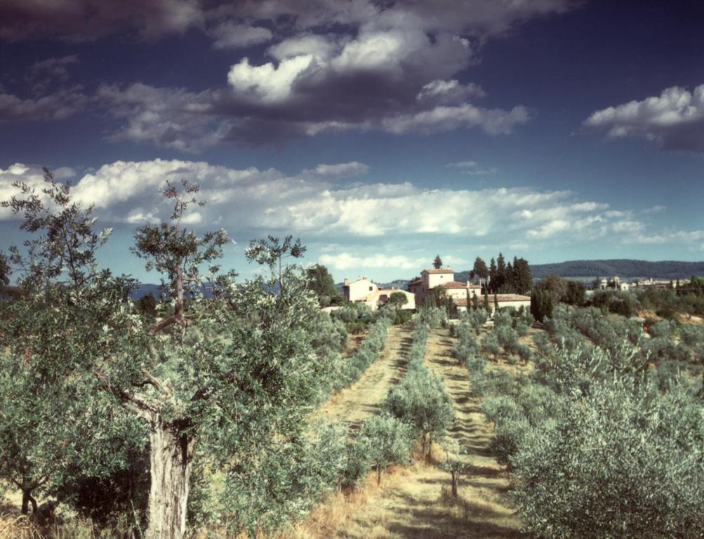 Il Borghetto Country Inn San Casciano in Val di Pesa Exterior foto