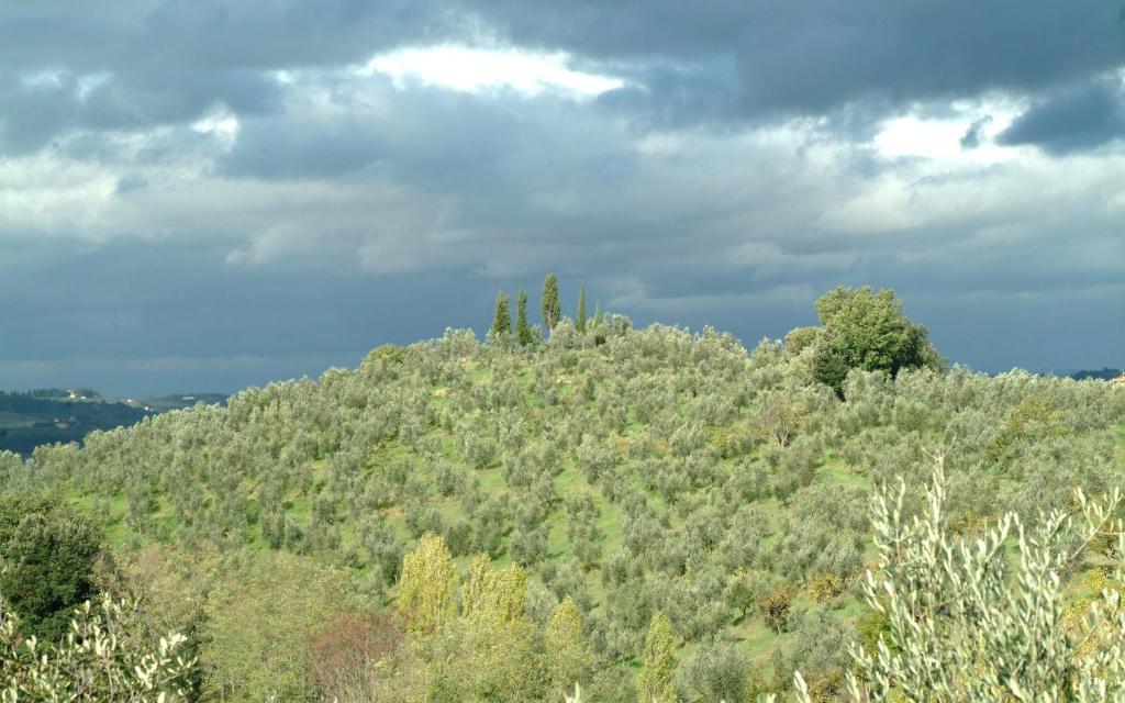 Il Borghetto Country Inn San Casciano in Val di Pesa Exterior foto